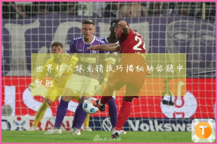 世界杯买球竞猜技巧揭秘助你稳中取胜