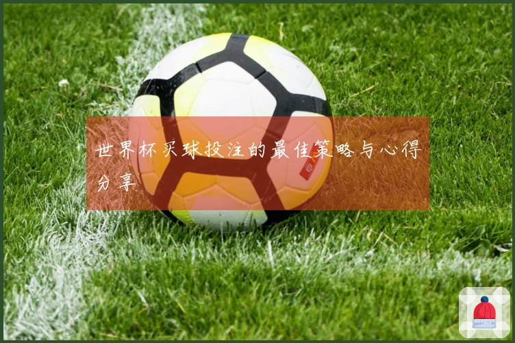 世界杯买球投注的最佳策略与心得分享