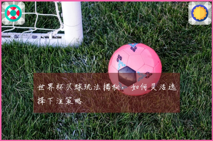 世界杯买球玩法揭秘，如何灵活选择下注策略