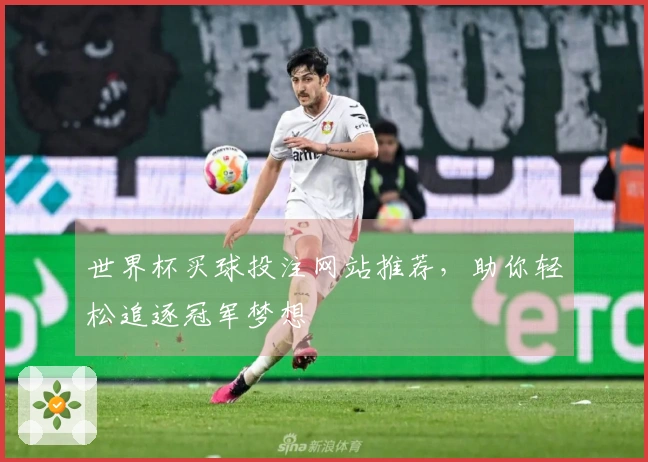 世界杯买球投注网站推荐，助你轻松追逐冠军梦想
