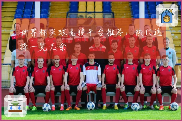 世界杯买球竞猜平台推荐，热门选择一览无余