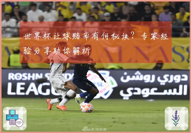 世界杯让球赔率有何秘诀？专家经验分享助你解析