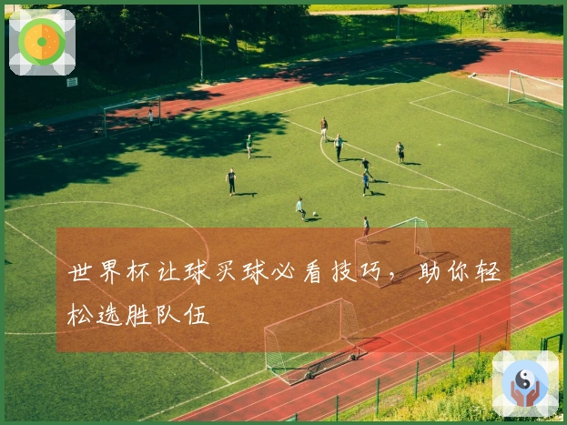 世界杯让球买球必看技巧，助你轻松选胜队伍