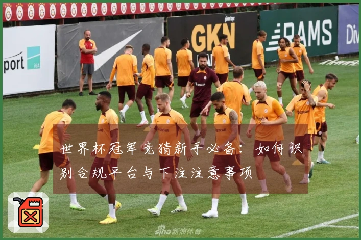 世界杯冠军竞猜新手必备：如何识别合规平台与下注注意事项