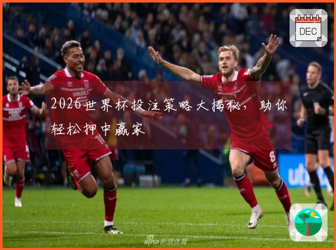 2026世界杯投注策略大揭秘，助你轻松押中赢家