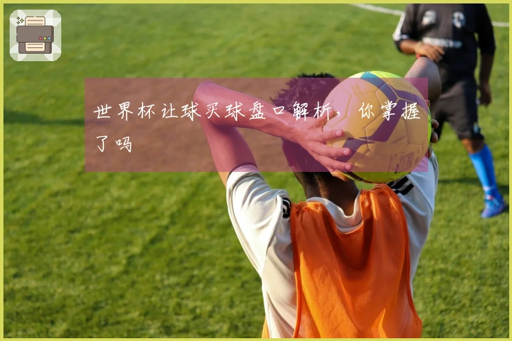 世界杯让球买球盘口解析，你掌握了吗