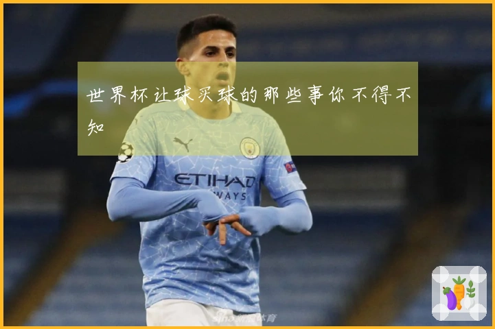 世界杯让球买球的那些事你不得不知