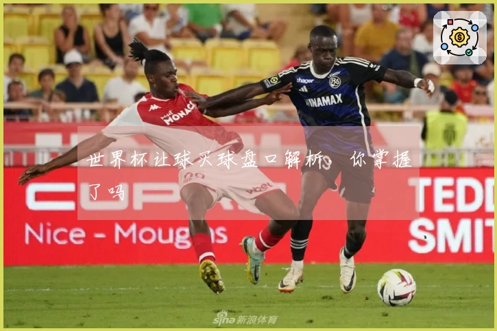 世界杯让球买球盘口解析，你掌握了吗