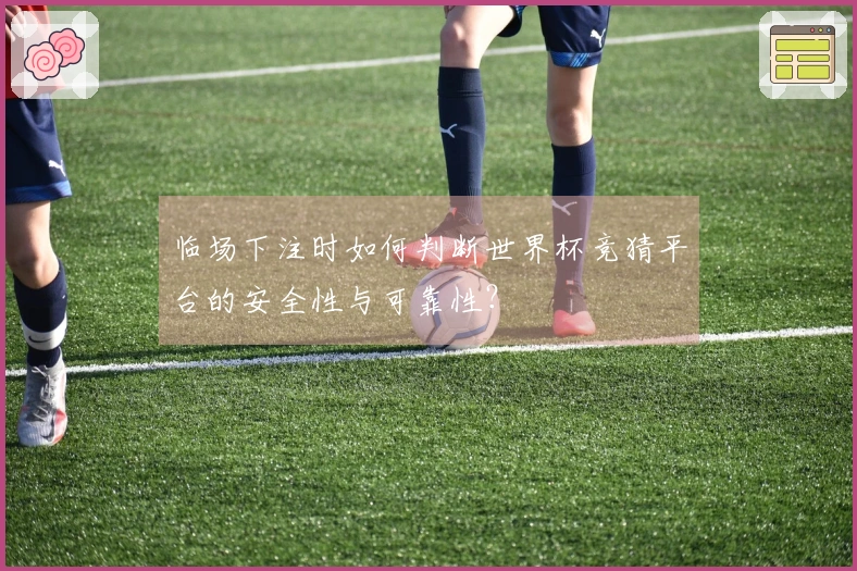临场下注时如何判断世界杯竞猜平台的安全性与可靠性？