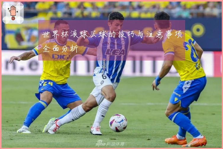 世界杯滚球买球的技巧与注意事项全面分析
