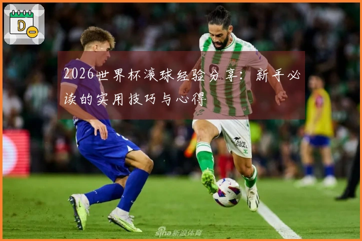 2026世界杯滚球经验分享：新手必读的实用技巧与心得