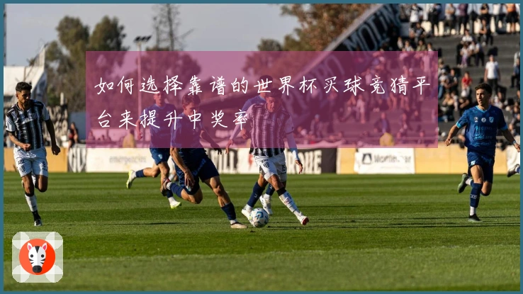 如何选择靠谱的世界杯买球竞猜平台来提升中奖率