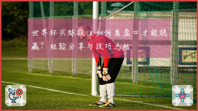 世界杯买球投注如何看盘口才能稳赢？经验分享与技巧总结