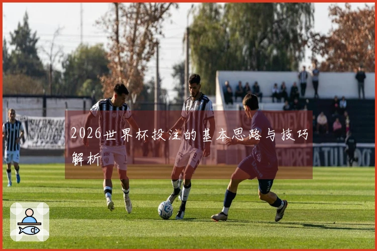 2026世界杯投注的基本思路与技巧解析