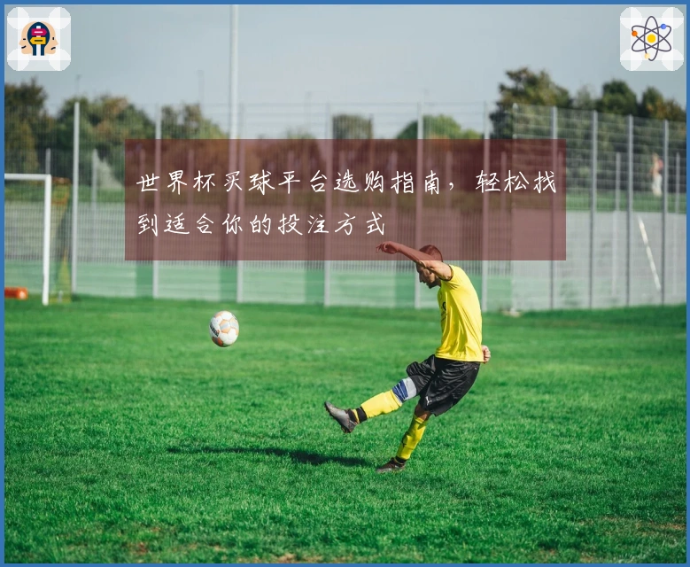 世界杯买球平台选购指南，轻松找到适合你的投注方式