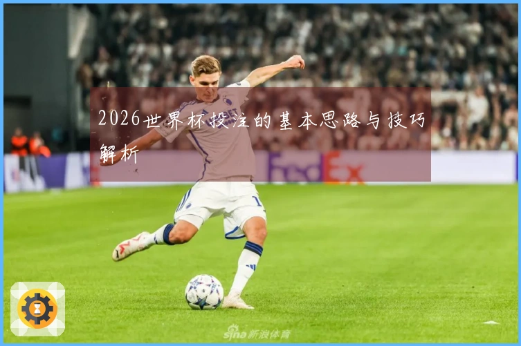 2026世界杯投注的基本思路与技巧解析