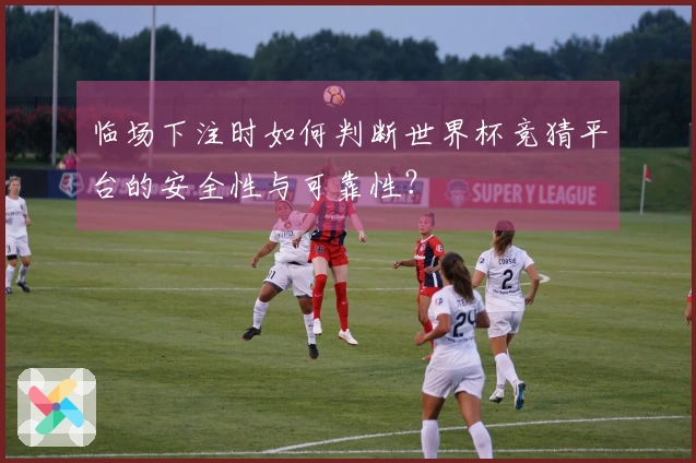 临场下注时如何判断世界杯竞猜平台的安全性与可靠性？