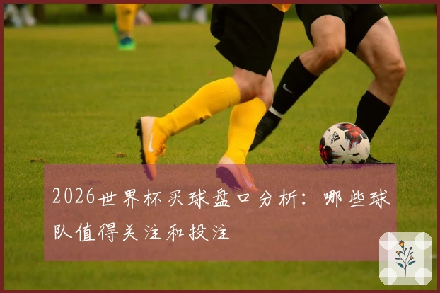 2026世界杯买球盘口分析：哪些球队值得关注和投注