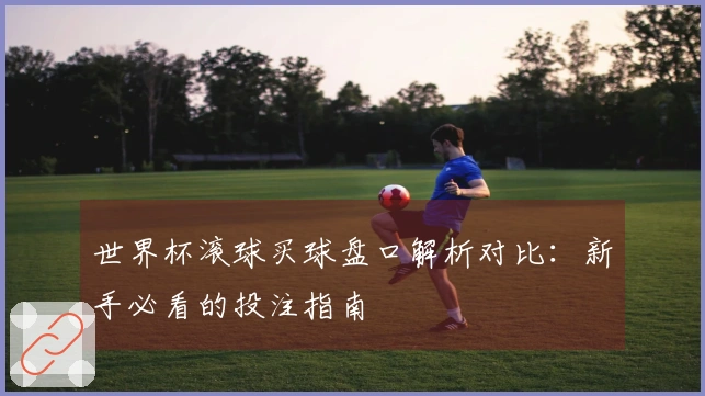世界杯滚球买球盘口解析对比：新手必看的投注指南