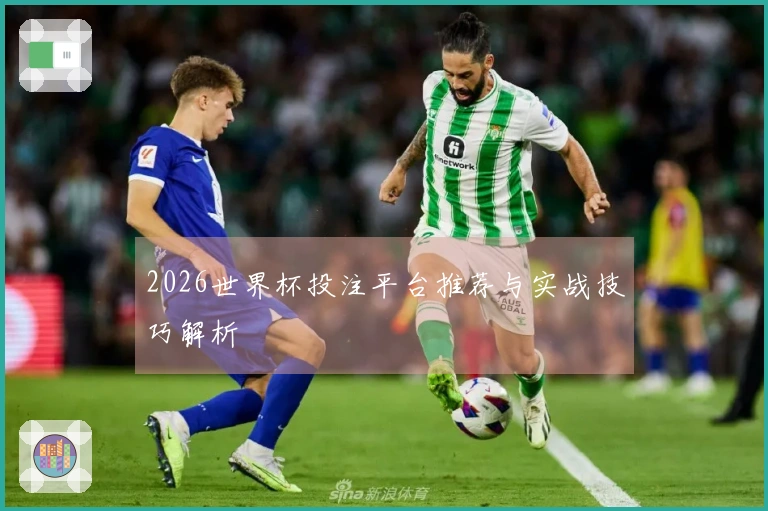 2026世界杯投注平台推荐与实战技巧解析