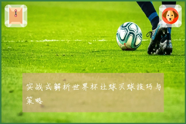 实战式解析世界杯让球买球技巧与策略