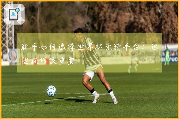 新手如何选择世界杯竞猜平台？这些技巧很重要