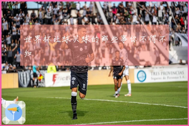 世界杯让球买球的那些事你不得不知